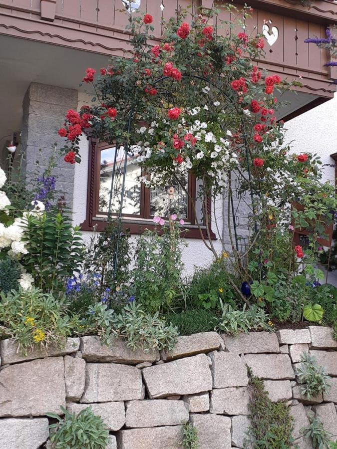 Ferienwohnung Arberblick Lam Eksteriør billede