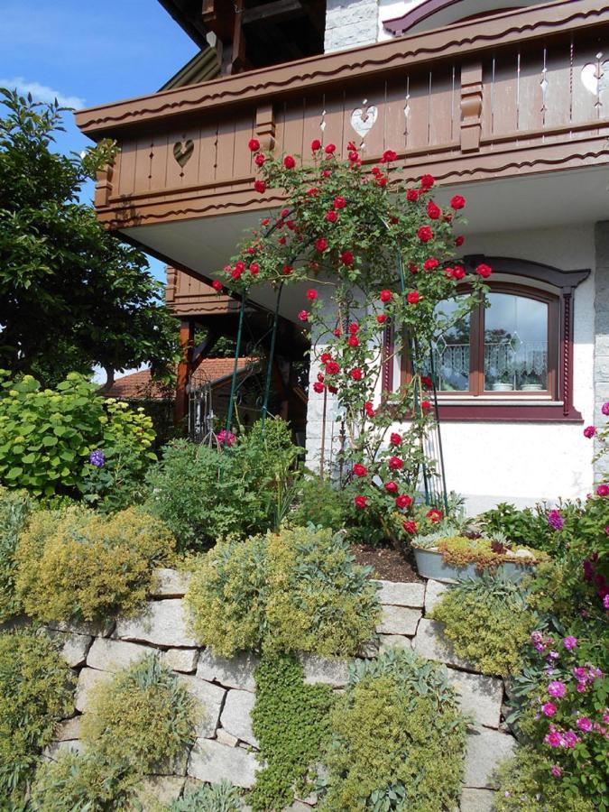 Ferienwohnung Arberblick Lam Eksteriør billede